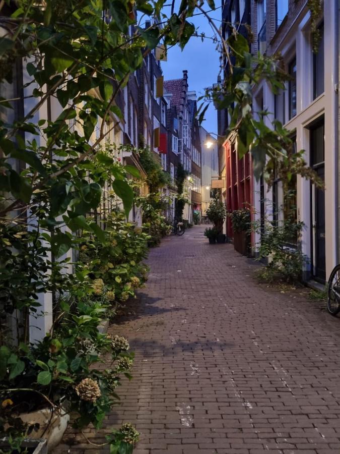 Here'S Lucy Amsterdam Dış mekan fotoğraf